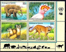 Onu 1997 elefante usato  Trambileno