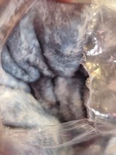 blanket polyester for sale blanket polyester for sale Destrehan