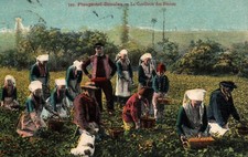 Old postcard plougastel d'occasion  Expédié en Belgium