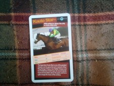Kauto star horse for sale  BRIDGNORTH