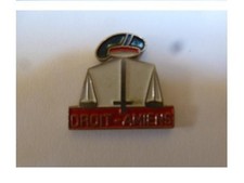 Pin droit amiens d'occasion  Oisemont