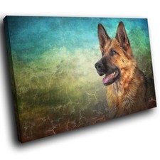 A714 german shepherd for sale  STRABANE