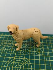 Fame master dog for sale  HAILSHAM