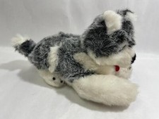 Gray white husky for sale  Mcminnville