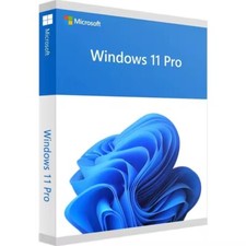 Windows pro product usato  Italia