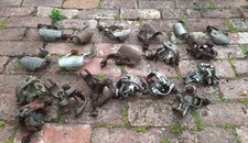 Scaffold clips clamp for sale  HEREFORD