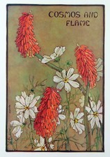 Vintage floral print for sale  Timberon