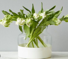 White colorblock glass for sale  Akron