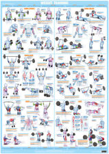 Weight training poster for sale  BURTON-ON-TRENT