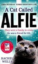 Cat called alfie for sale Cat called alfie for sale  STOCKPORT