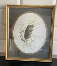 Print joel kirk for sale Print joel kirk for sale  BASILDON