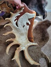 Moose antler carving for sale  Wickenburg