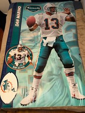 Miami dolphins dan for sale  Berwyn