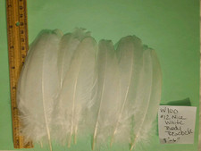 White peacock wing for sale  Goodyear