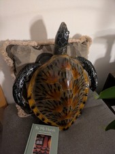 Beautiful sea turtle for sale  Seaside