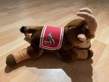 Köln geissbock hennes gebraucht kaufen  Pulheim