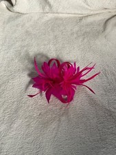 Gorgeous small fushia for sale  LEEDS