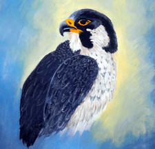 Original vintage gouache for sale  RUTHIN