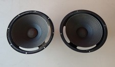 Coppia woofer radiatore usato  Sarno