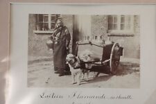 Tirada Foto Albúmina 11X17CM 1880 Lechera Flamenca Carreta De Perro 11X17CM comprar usado  Enviando para Brazil