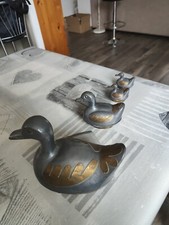 Canards vide poches d'occasion  Vidauban