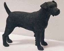Leonardo patterdale terrier for sale  SCUNTHORPE