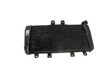 Radiatore acqua triumph usato  Italia