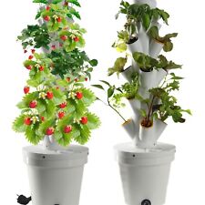 Torreeoliana sistema coltivazi usato  Patti