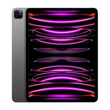 Ipad pro 12.9 usato  Vignate
