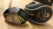 Golden bear hybrid for sale  LONDON