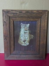 Marjorie brice leopard for sale  Gerton