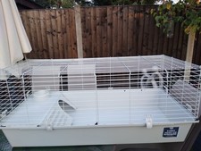 Pets home guinea for sale  WATERLOOVILLE