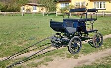 Pony kutsche gebraucht kaufen  Ostseebad Prerow