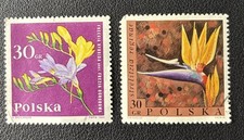 Polish postage stamps for sale  Bordentown