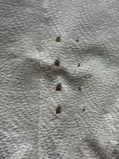 Breitling aerospace reiter gebraucht kaufen  Dortmund