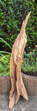 Skulptur wurzel stamm gebraucht kaufen  Werneuchen