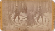 Stereoview c.1872 1875 for sale  Lake Ann