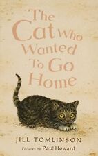 Cat wanted home for sale  UK