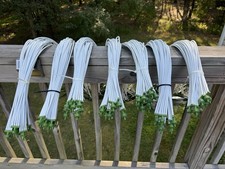 70x flora flex for sale  Flushing