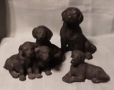 Black labrador retrievers for sale  Ithaca