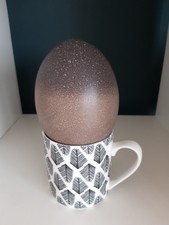 Blown emu egg for sale  BOURNEMOUTH