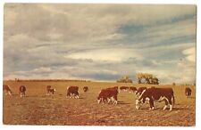 Herefords home range for sale  Willow Street