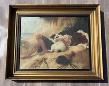 dogs belfast for sale dogs belfast for sale NEWTOWNARDS