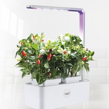 Seed pantry grow for sale  LONDON