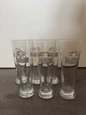 Birra dolomiti set usato  Verdellino