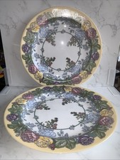Arcopal eden 27cm for sale  NORWICH