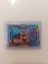 Panini prizm 2024 gebraucht kaufen  Meißen