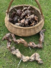 Tire bouchon cep d'occasion  Remiremont