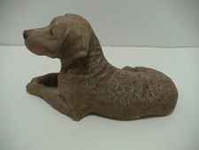 chesapeake bay retriever for sale chesapeake bay retriever for sale Monroeville