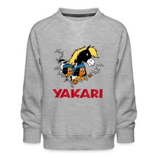 Yakari regenbogen kleiner gebraucht kaufen  Leipzig